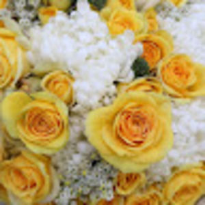 Meet your Posher, Alexandra